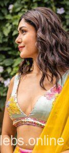 Mrunal Thakur saree hot images