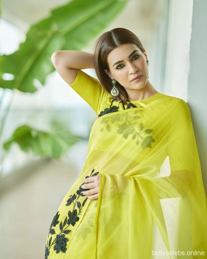 Kriti sanon hot saree images