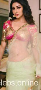 Mouni Roy Hot Images (17)