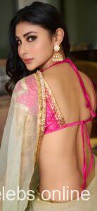 Mouni Roy Hot Images (18)