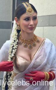 Mouni Roy Hot Images (53)